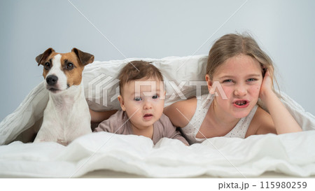A little girl and her five-month-old brother and Jack Russell Terrier dog lie wrapped in a blanket.  115980259