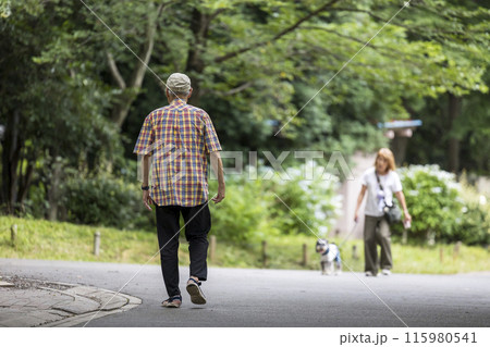 公園をウォーキングする高齢者男性 公園をウォーキングする高齢者男性 115980541