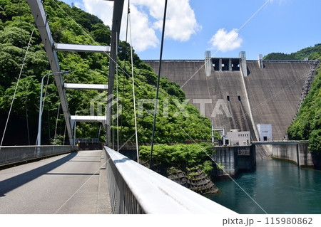 神奈川県立あいかわ公園　新石小屋橋と宮ヶ瀬ダムと新緑 115980862