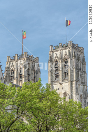 ベルギー　ブリュッセル　サンミッシェル大聖堂 115980939