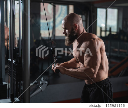 Bald Caucasian Bodybuilder doing heavy triceps exercises with cable.  115981126