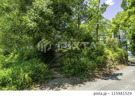 高松城水攻め史跡公園　蛙が鼻築堤跡　岡山県岡山市 115981529