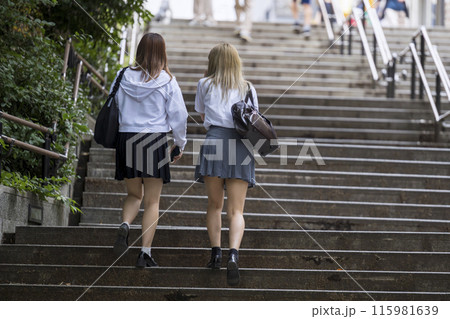 階段を上がる女子高生の後ろ姿 115981639