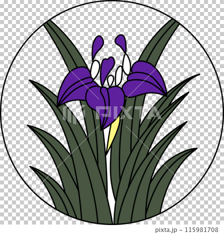 Colored circular Hanafuda cards - Iris, Iris, May, Iris sap 115981708