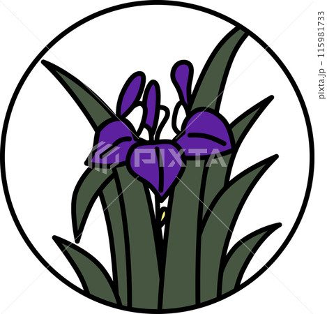 カラー円形シンプル花札　菖蒲　杜若　皐月　5月　菖蒲のカス 115981733