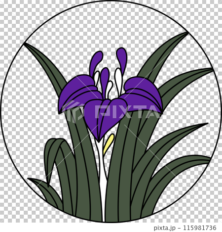 Colored circular Hanafuda cards - Iris, Iris, May, Iris sap Colored circular Hanafuda cards - Iris, Iris, May, Iris sap 115981736