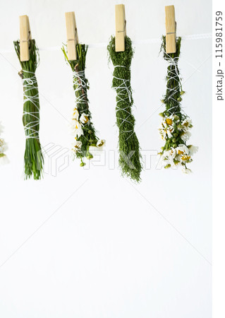 Handmade smudge sticks hanging from rope to dry. Handmade smudge sticks hanging from rope to dry. 115981759