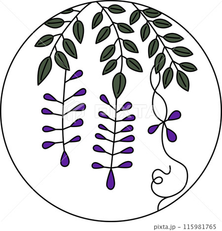 カラー円形花札　卯月　藤　4月　藤のカス 115981765