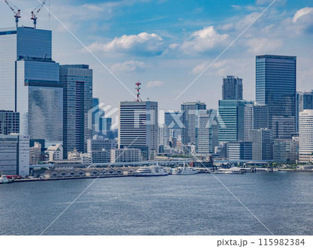 レインボーブリッジから望む東京都市風景（日の出桟橋・日の出ふ頭方面） 115982384