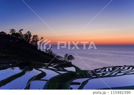 能登半島で見た日没後の棚田と日本海のブルーモーメント情景 能登半島で見た日没後の棚田と日本海のブルーモーメント情景 115982390