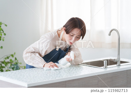 キッチン掃除をする女性 キッチン掃除をする女性 115982713