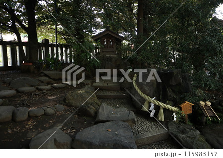 川越氷川神社 川越氷川神社 115983157