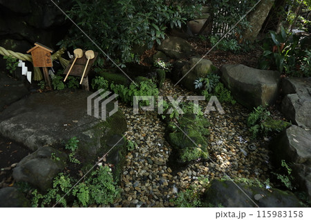 川越氷川神社 川越氷川神社 115983158