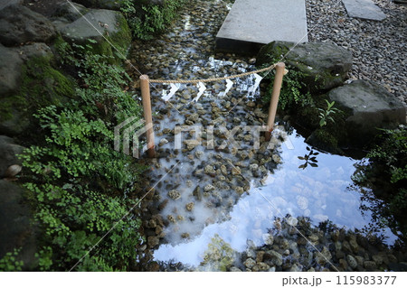 川越氷川神社 川越氷川神社 115983377