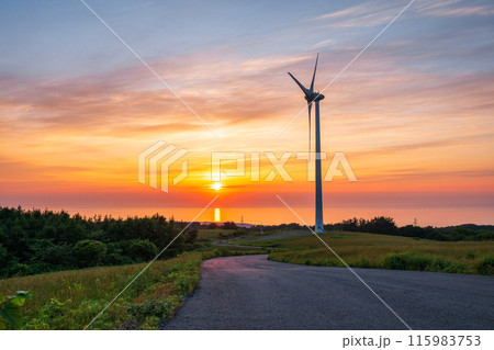 仁賀保高原（夕景） 115983753