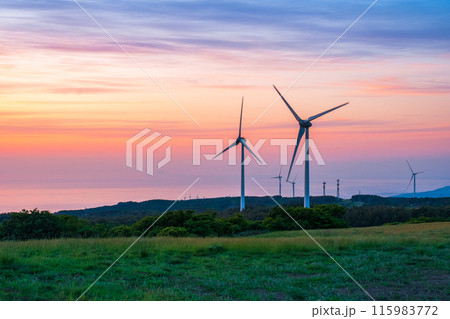 仁賀保高原（夕景） 115983772