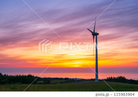 仁賀保高原（夕景） 115983904