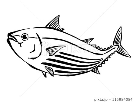 カツオの手書き線画イラスト カツオの手書き線画イラスト 115984084