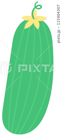 Kid hand drawn cute healthy food vegetables cucumber Kid hand drawn cute healthy food vegetables cucumber 115984307