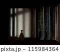 雨の夜の古民家　窓辺 115984364