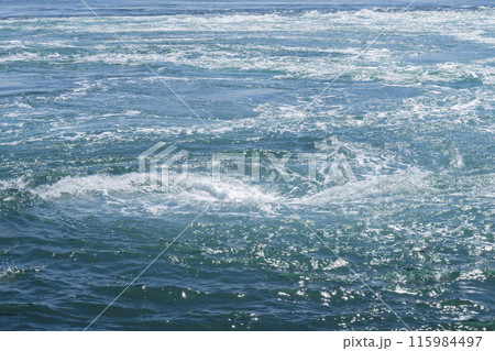 鳴門のうず潮 115984497