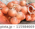 収穫された沢山の玉ねぎ 115984669