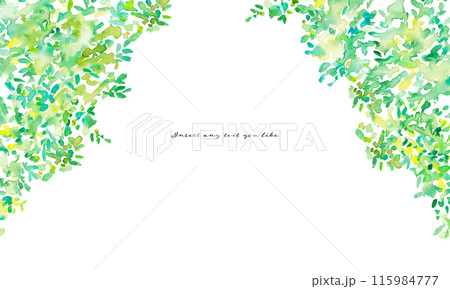 水彩画。夏の新緑風景。森の木々ベクターイラスト。エコイメージの新緑背景 水彩画。夏の新緑風景。森の木々ベクターイラスト。エコイメージの新緑背景 115984777