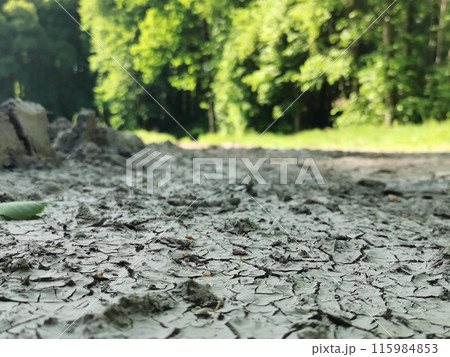 dry soil in the czech republic dry soil in the czech republic 115984853