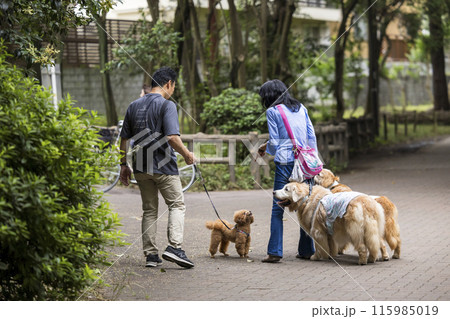 公園でペットの散歩で交流する飼い主 公園でペットの散歩で交流する飼い主 115985019