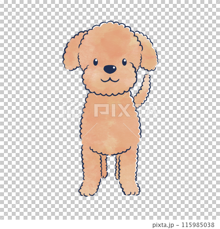 【トイプードル】手描きイラスト 原画 《1384》 トイプードル】手描きイラスト 原画 《1384》 正面で立っているトイ