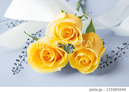 Yellow rose flower bouquet, closeup with white ribbon on blue background 115985049
