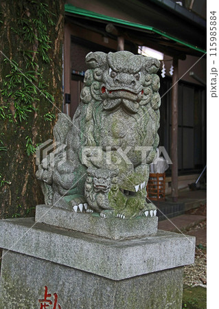 清流寺不動院（和光） 115985884