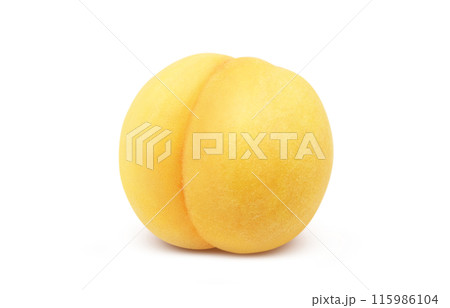 黄金桃のイラスト リアル 白バック 黄金桃のイラスト リアル 白バック 115986104
