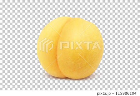 黄金桃のイラスト リアル 白バック 黄金桃のイラスト リアル 白バック 115986104