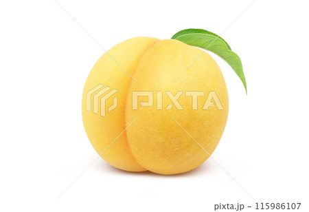黄金桃のイラスト リアル 白バック 黄金桃のイラスト リアル 白バック 115986107