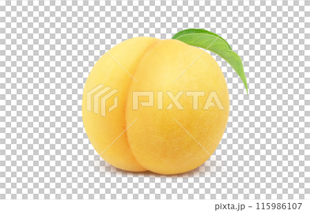 黄金桃のイラスト リアル 白バック 黄金桃のイラスト リアル 白バック 115986107