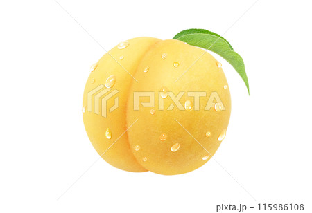 黄金桃のイラスト リアル 白バック 115986108