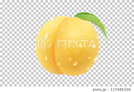 黄金桃のイラスト リアル 白バック 115986108