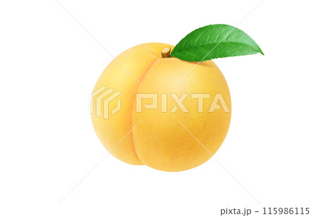 黄金桃のイラスト リアル 白バック 115986115
