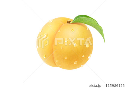黄金桃のイラスト リアル 白バック 黄金桃のイラスト リアル 白バック 115986123