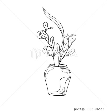 Plants in vase vector graphic hand drawn illustration. Pot and leaves on branch in black white line. Contour pottery in ink painted. Element for ceramics workshop, school modeling clay. Coloring vase 115986543