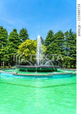 【東京都】初夏の新緑が綺麗な日比谷公園の噴水 115986718
