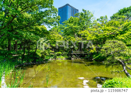 【東京都】初夏の新緑が綺麗な日比谷公園の池 115986747