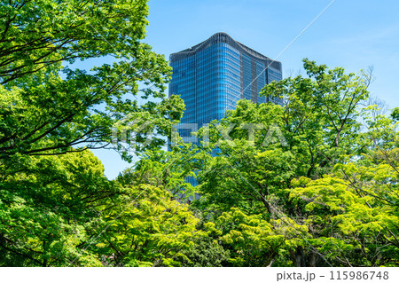 【東京都】日比谷公園から見える東京ミッドタウン日比谷 115986748