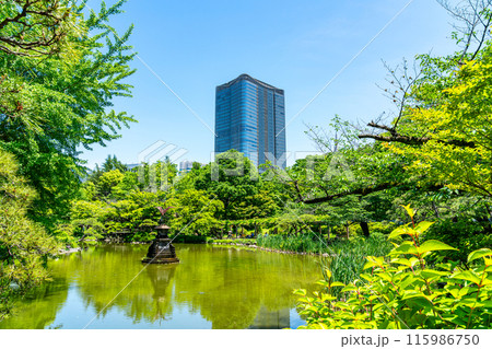 【東京都】日比谷公園から見える東京ミッドタウン日比谷 【東京都】日比谷公園から見える東京ミッドタウン日比谷 115986750
