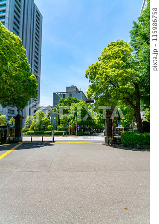 【東京都】日比谷公園から見える周辺のビル群 【東京都】日比谷公園から見える周辺のビル群 115986758