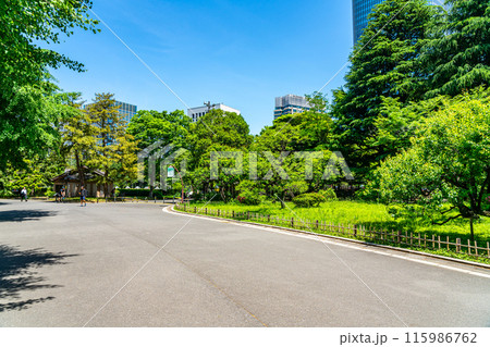 【東京都】初夏の新緑が綺麗な日比谷公園 115986762