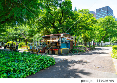 【東京都】日比谷公園にある昭和レトロな売店 【東京都】日比谷公園にある昭和レトロな売店 115986769