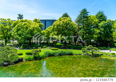 【東京都】初夏の新緑が綺麗な日比谷公園 115986779