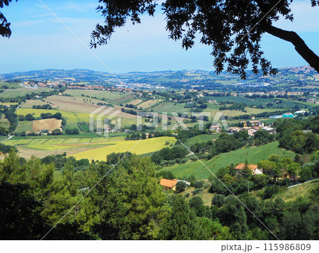 Areal view of the small European town Areal view of the small European town 115986809